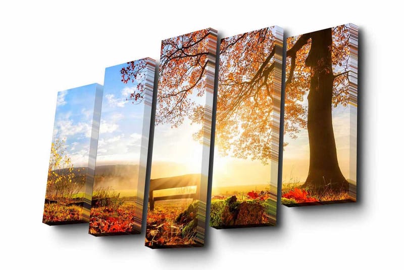 Dekorativ Canvasmålning 5 Delar - Flerfärgad - Inredning - Tavlor & konst - Canvastavlor