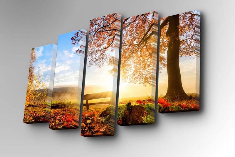Dekorativ Canvasmålning 5 Delar - Flerfärgad - Inredning - Tavlor & konst - Canvastavlor