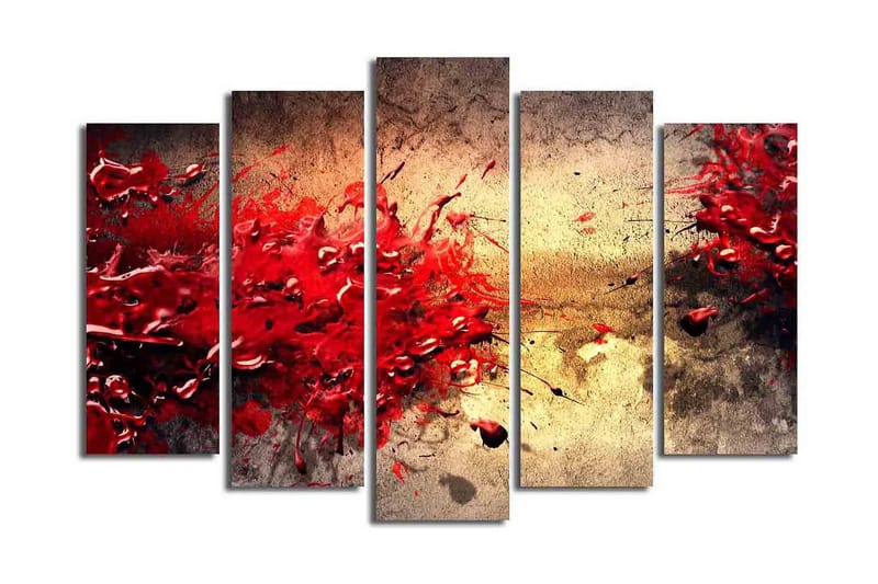 Dekorativ Canvasmålning 5 Delar - Flerfärgad - Inredning - Tavlor & konst - Canvastavlor