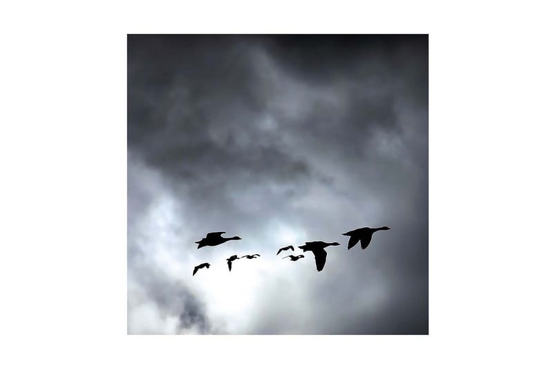 Dekorativ Canvasmålning, Flerfärgad