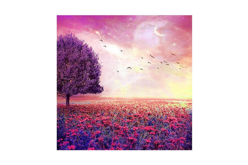 Dekorativ Canvasmålning, Flerfärgad