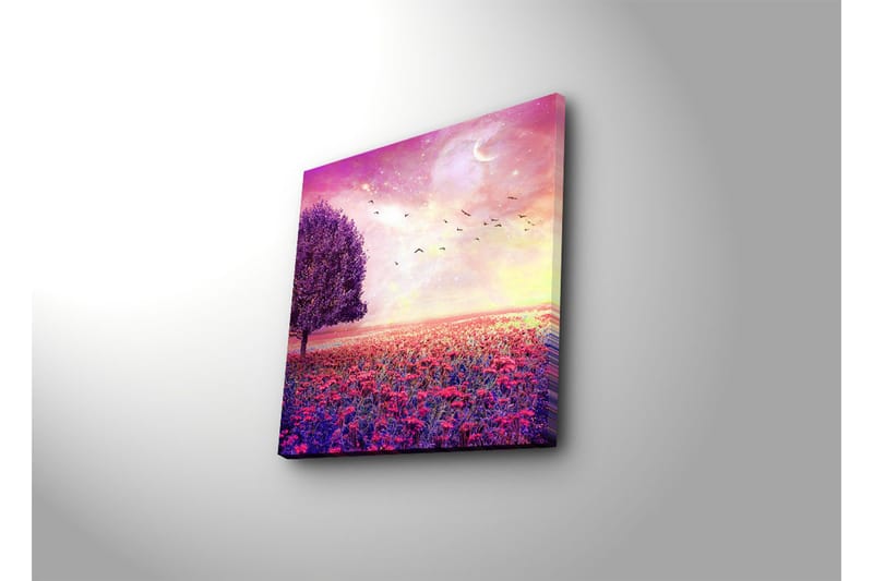 Dekorativ Canvasmålning - Flerfärgad - Inredning - Tavlor & konst - Canvastavlor