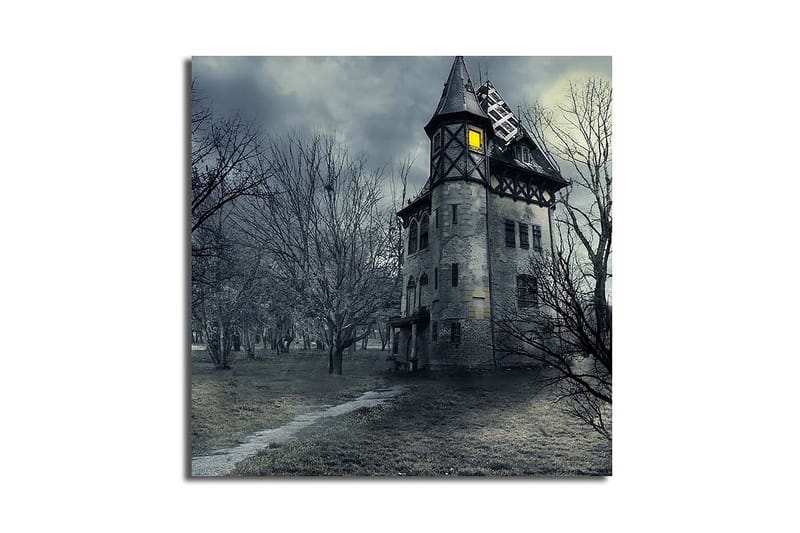 Dekorativ Canvasmålning, Flerfärgad