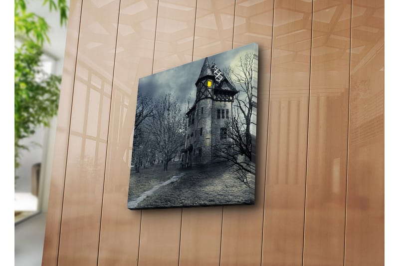 Dekorativ Canvasmålning - Flerfärgad - Inredning - Tavlor & konst - Canvastavlor