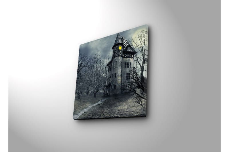 Dekorativ Canvasmålning - Flerfärgad - Inredning - Tavlor & konst - Canvastavlor