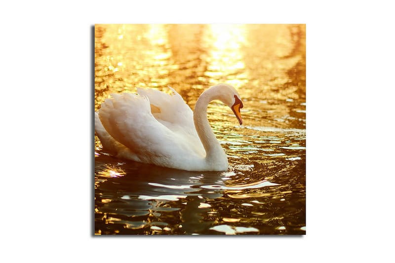 Dekorativ Canvasmålning, Flerfärgad