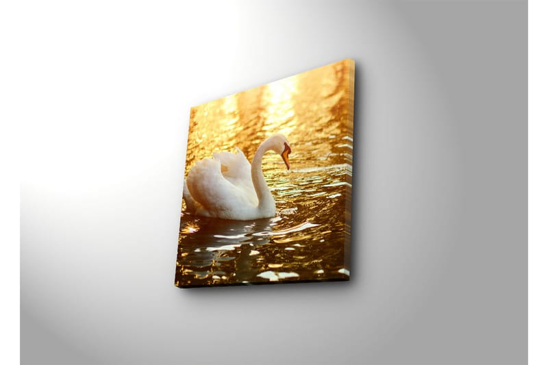 Dekorativ Canvasmålning - Flerfärgad - Inredning - Tavlor & konst - Canvastavlor