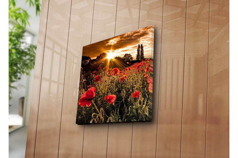 Dekorativ Canvasmålning - Flerfärgad - Inredning - Tavlor & konst - Canvastavlor