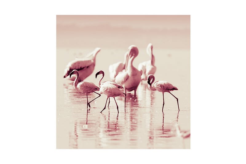 Dekorativ Canvasmålning, Flerfärgad