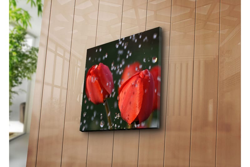 Dekorativ Canvasmålning - Flerfärgad - Inredning - Tavlor & konst - Canvastavlor