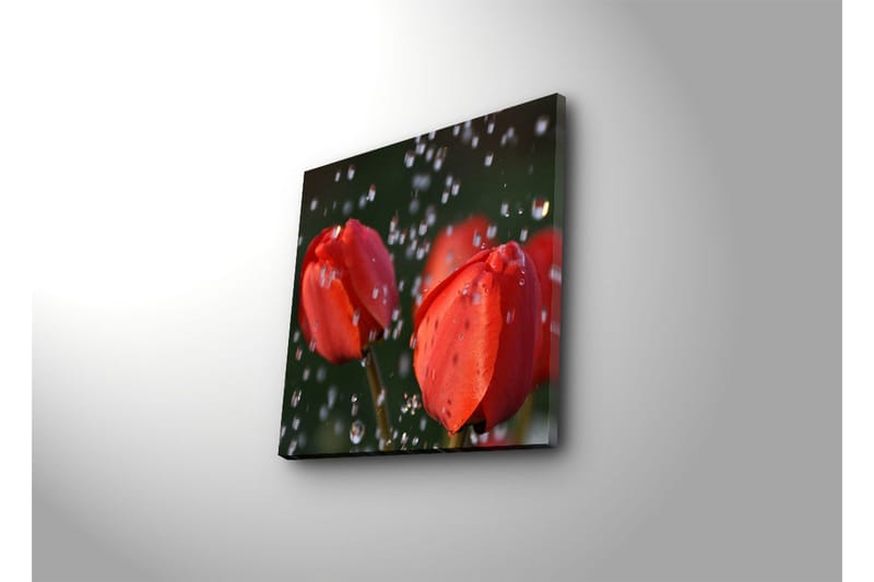 Dekorativ Canvasmålning - Flerfärgad - Inredning - Tavlor & konst - Canvastavlor