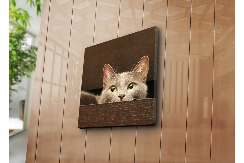 Dekorativ Canvasmålning - Flerfärgad - Inredning - Tavlor & konst - Canvastavlor