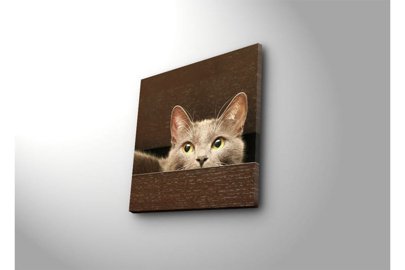 Dekorativ Canvasmålning - Flerfärgad - Inredning - Tavlor & konst - Canvastavlor