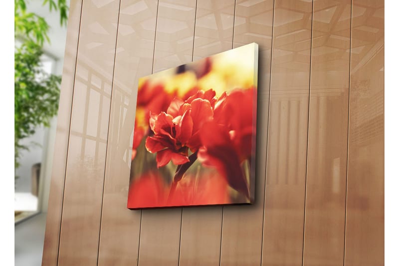 Dekorativ Canvasmålning - Flerfärgad - Inredning - Tavlor & konst - Canvastavlor