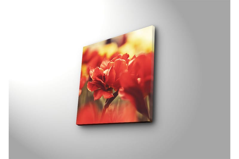 Dekorativ Canvasmålning - Flerfärgad - Inredning - Tavlor & konst - Canvastavlor