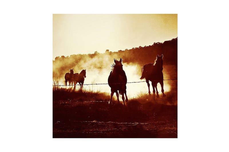 Dekorativ Canvasmålning, Flerfärgad