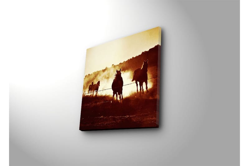 Dekorativ Canvasmålning - Flerfärgad - Inredning - Tavlor & konst - Canvastavlor