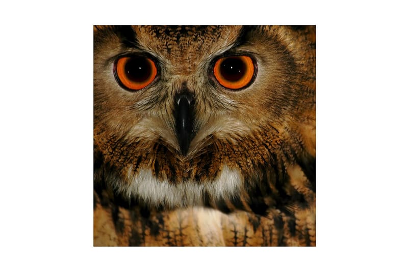 Dekorativ Canvasmålning, Flerfärgad