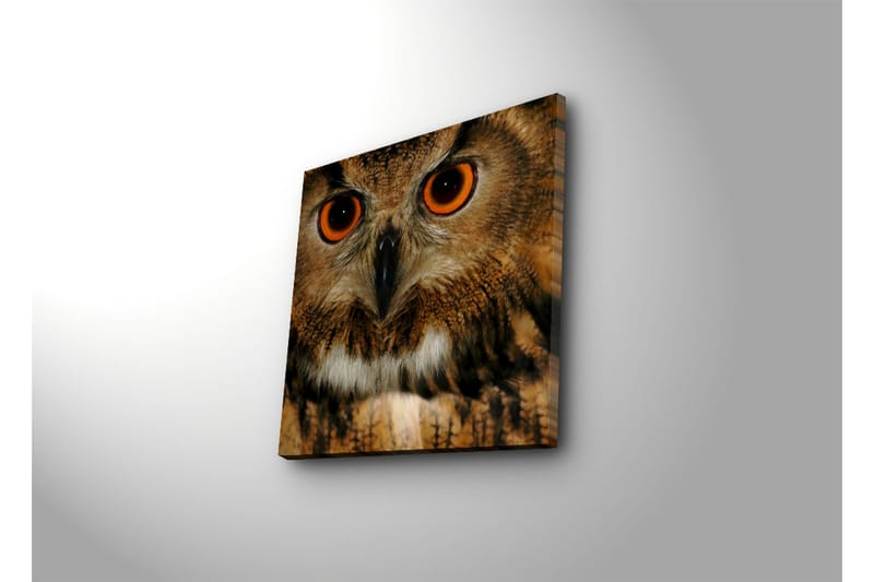 Dekorativ Canvasmålning - Flerfärgad - Inredning - Tavlor & konst - Canvastavlor