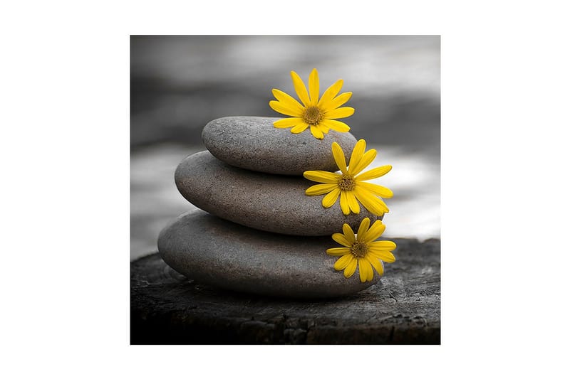 Dekorativ Canvasmålning, Flerfärgad