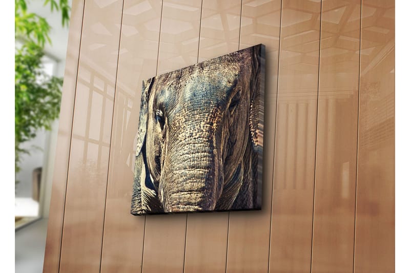 Dekorativ Canvasmålning - Flerfärgad - Inredning - Tavlor & konst - Canvastavlor