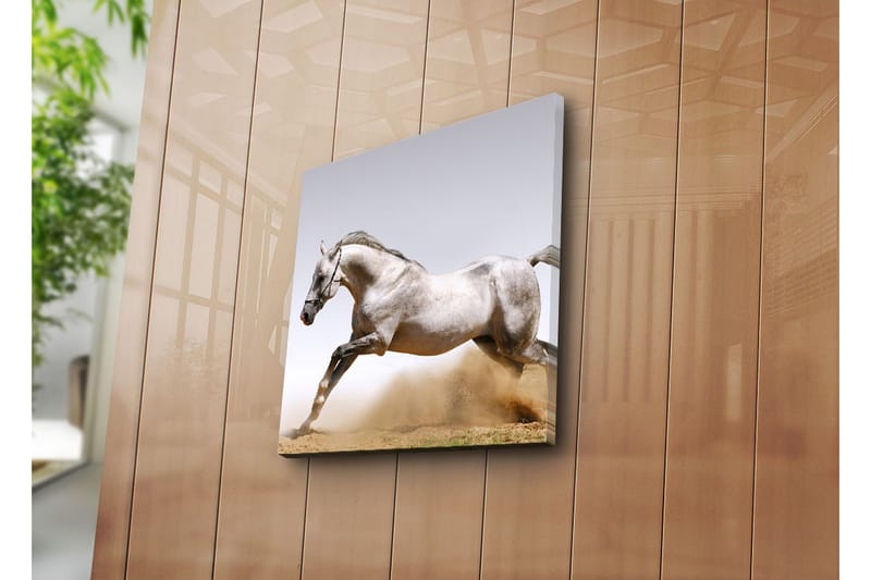 Dekorativ Canvasmålning - Flerfärgad - Inredning - Tavlor & konst - Canvastavlor