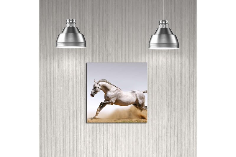 Dekorativ Canvasmålning - Flerfärgad - Inredning - Tavlor & konst - Canvastavlor