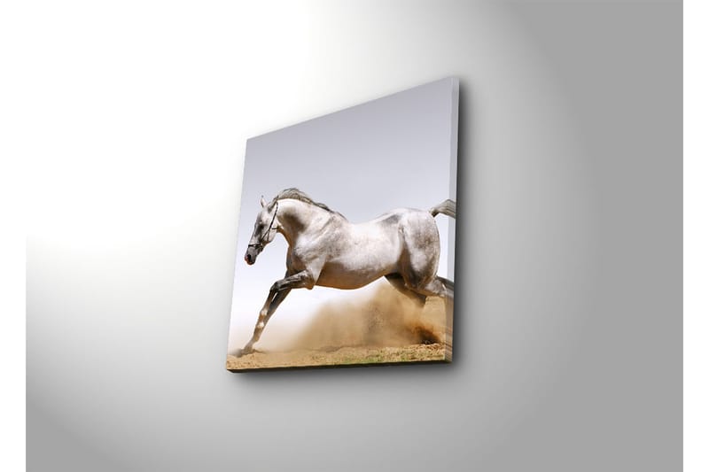 Dekorativ Canvasmålning - Flerfärgad - Inredning - Tavlor & konst - Canvastavlor