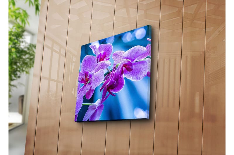 Dekorativ Canvasmålning - Flerfärgad - Inredning - Tavlor & konst - Canvastavlor