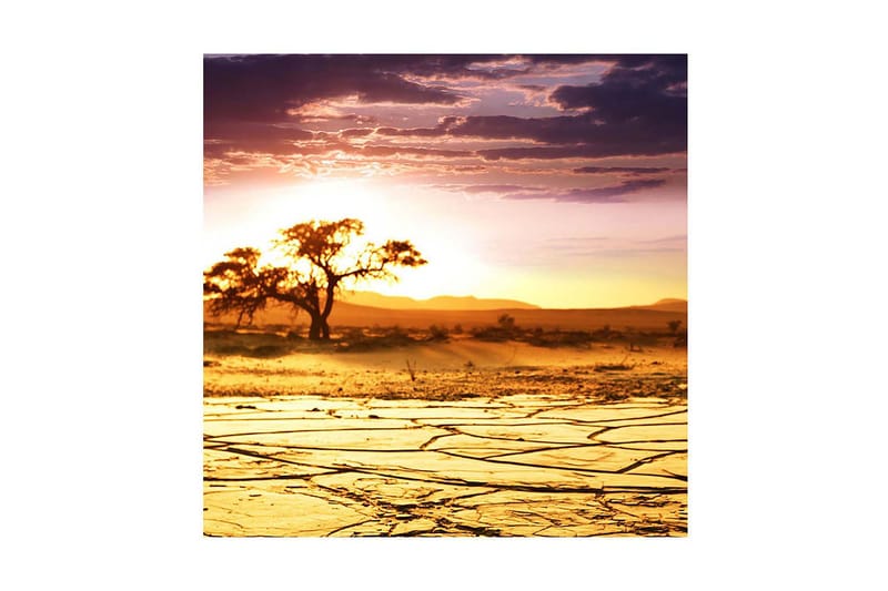 Dekorativ Canvasmålning, Flerfärgad