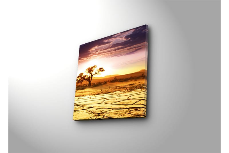 Dekorativ Canvasmålning - Flerfärgad - Inredning - Tavlor & konst - Canvastavlor