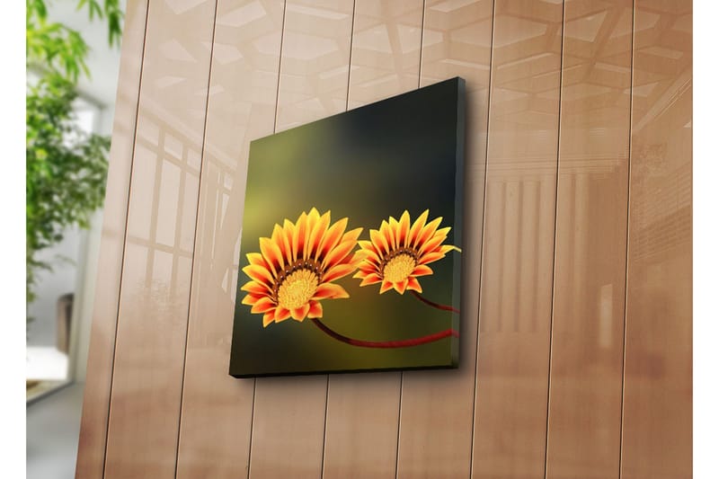 Dekorativ Canvasmålning - Flerfärgad - Inredning - Tavlor & konst - Canvastavlor