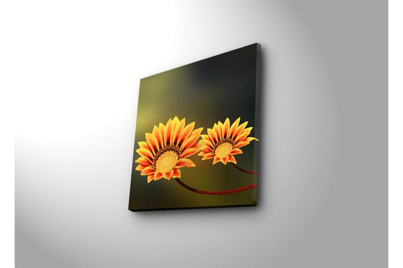 Dekorativ Canvasmålning - Flerfärgad - Inredning - Tavlor & konst - Canvastavlor