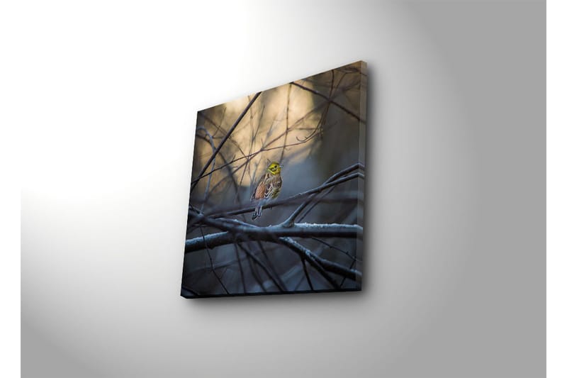 Dekorativ Canvasmålning - Flerfärgad - Inredning - Tavlor & konst - Canvastavlor