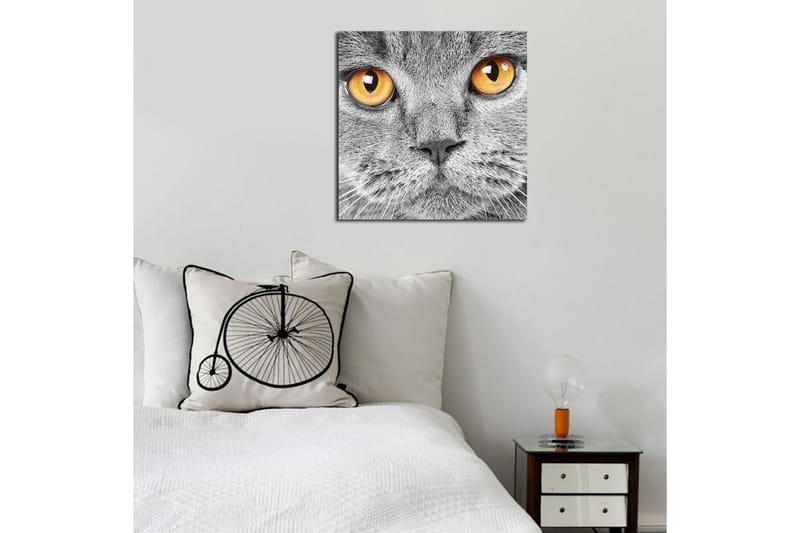 Dekorativ Canvasmålning - Flerfärgad - Inredning - Tavlor & konst - Canvastavlor