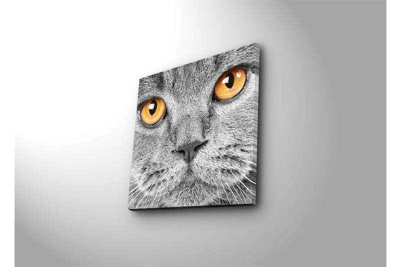 Dekorativ Canvasmålning - Flerfärgad - Inredning - Tavlor & konst - Canvastavlor