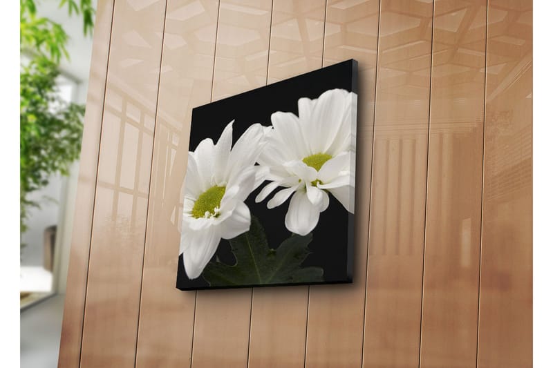 Dekorativ Canvasmålning - Flerfärgad - Inredning - Tavlor & konst - Canvastavlor