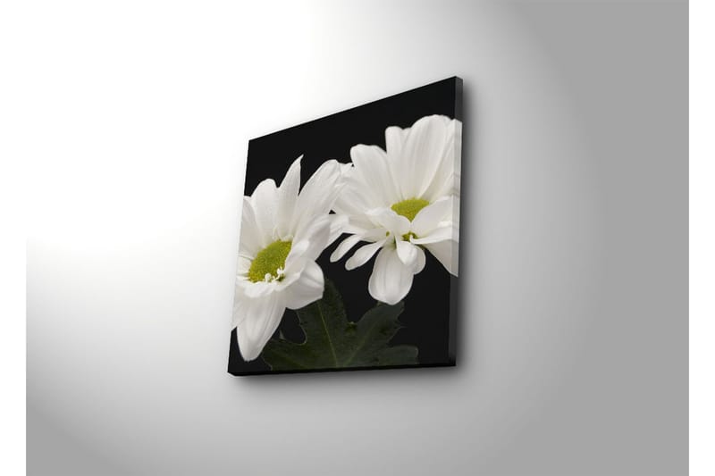 Dekorativ Canvasmålning - Flerfärgad - Inredning - Tavlor & konst - Canvastavlor