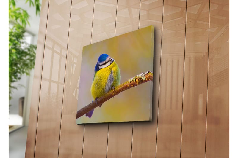 Dekorativ Canvasmålning - Flerfärgad - Inredning - Tavlor & konst - Canvastavlor