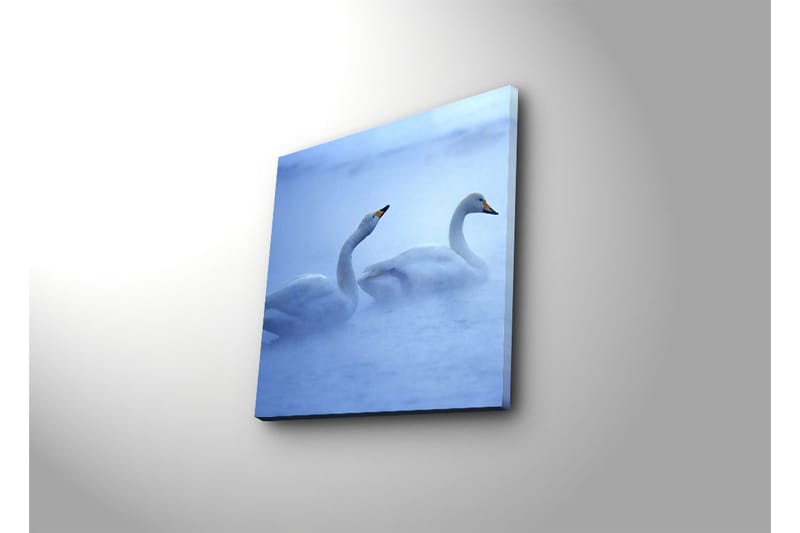 Dekorativ Canvasmålning - Flerfärgad - Inredning - Tavlor & konst - Canvastavlor