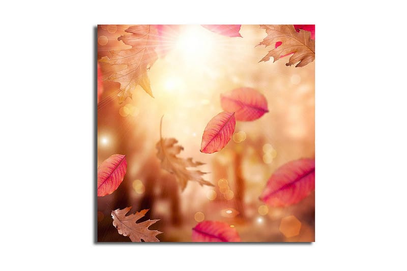 Dekorativ Canvasmålning, Flerfärgad