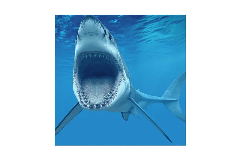 Dekorativ Canvasmålning, Flerfärgad