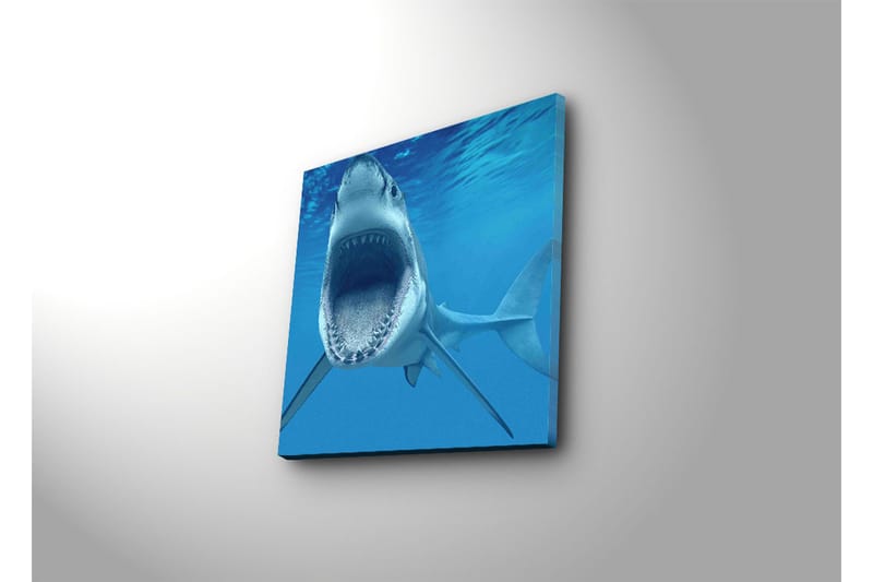 Dekorativ Canvasmålning - Flerfärgad - Inredning - Tavlor & konst - Canvastavlor