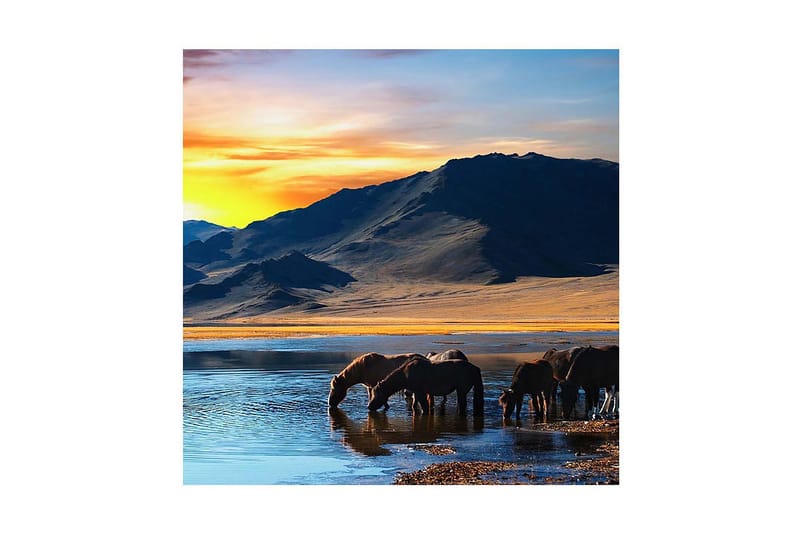 Dekorativ Canvasmålning - Flerfärgad - Inredning - Tavlor & konst - Canvastavlor