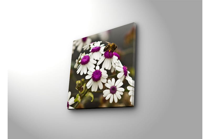 Dekorativ Canvasmålning - Flerfärgad - Inredning - Tavlor & konst - Canvastavlor