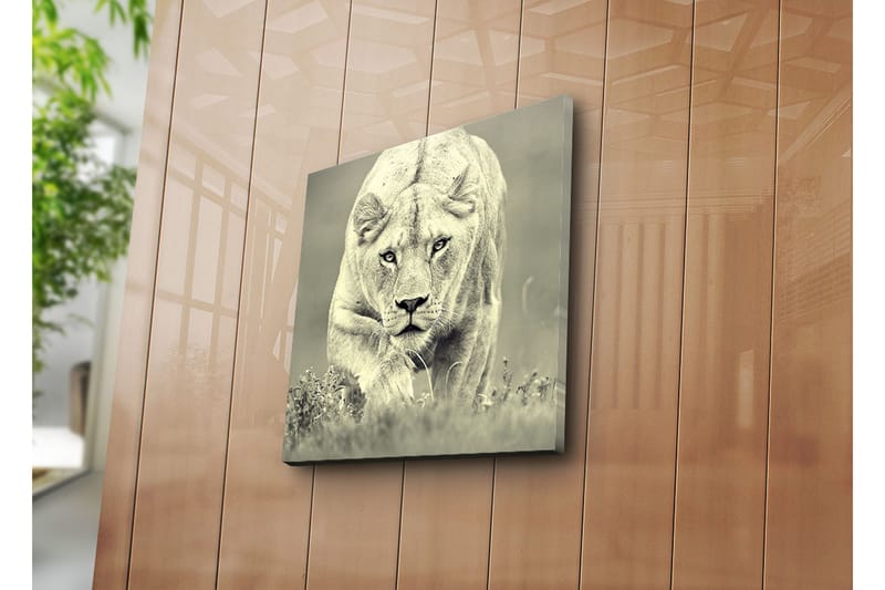 Dekorativ Canvasmålning - Flerfärgad - Inredning - Tavlor & konst - Canvastavlor