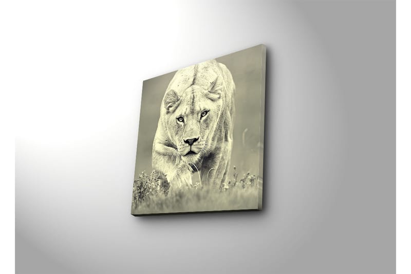 Dekorativ Canvasmålning - Flerfärgad - Inredning - Tavlor & konst - Canvastavlor