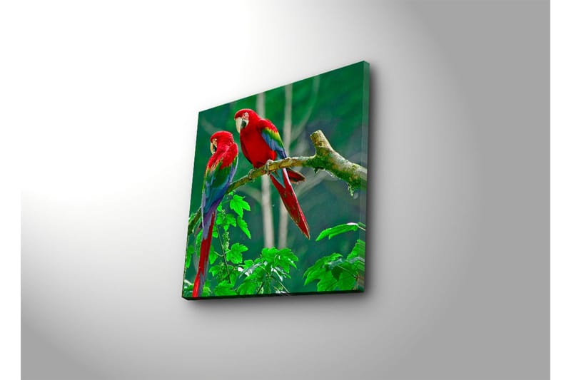 Dekorativ Canvasmålning - Flerfärgad - Inredning - Tavlor & konst - Canvastavlor