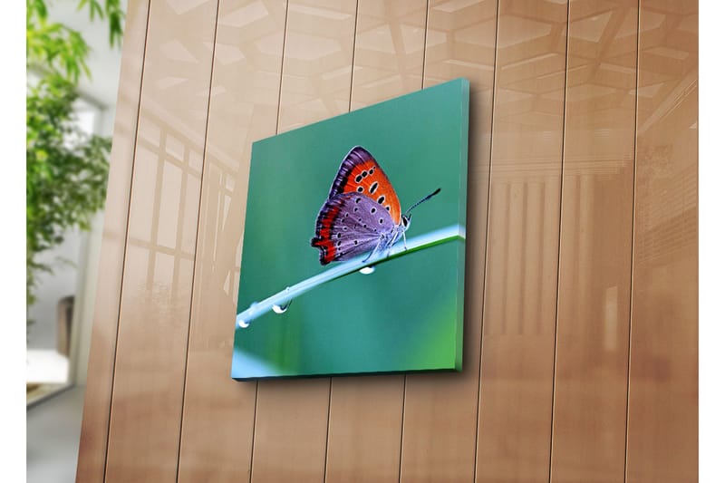 Dekorativ Canvasmålning - Flerfärgad - Inredning - Tavlor & konst - Canvastavlor