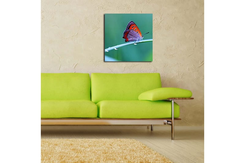 Dekorativ Canvasmålning - Flerfärgad - Inredning - Tavlor & konst - Canvastavlor